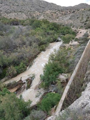 La lluvia en Elche se lleva por delante pasarelas del paseo del Pantano y elementos patrimoniales
