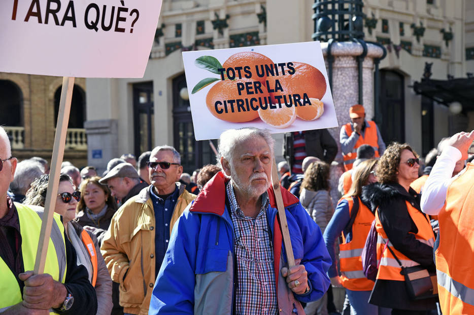 Imagen de la reciente manifestación en favor de la citricultura en València (Foto: DANIEL GARCÍA-SALA). - 