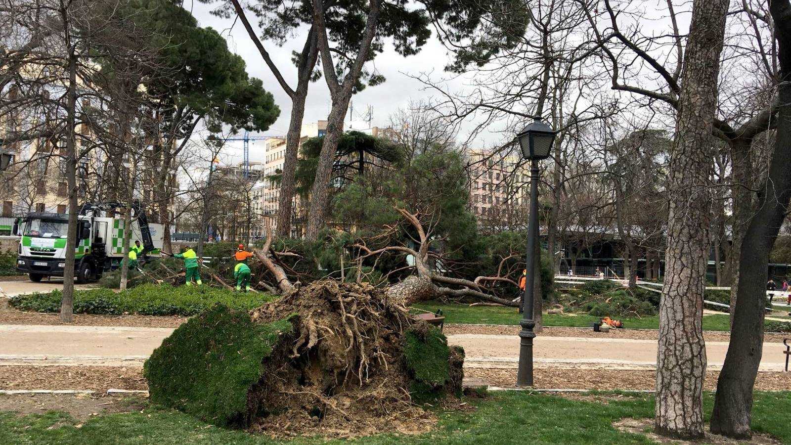 El Ayuntamiento de València cierra los parques de la ciudad por los fuertes vientos