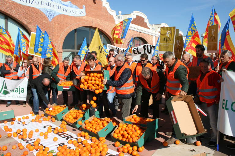 AVA-Asaja señala que la valenciana Fruterca entra en concurso y deja a 300 citricultores en la ruina