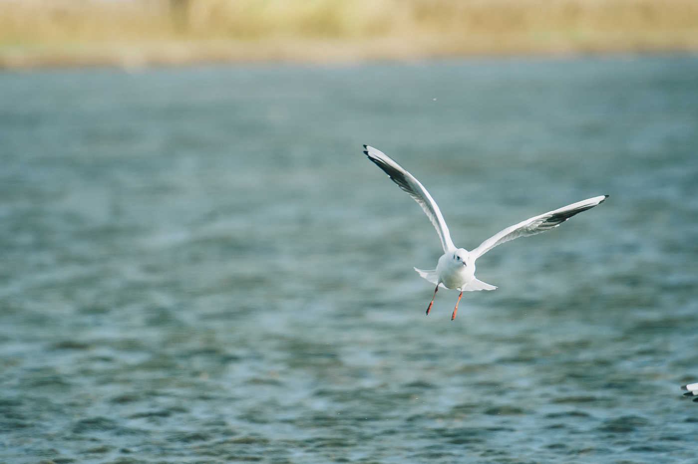 Foto: KIKE TABERNER - 