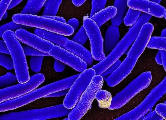 Investigadores españoles diseñan antibióticos que atacan solo las bacterias 'malas' y evitan resistencias