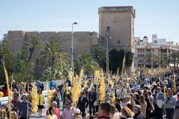 Las palmas blancas 