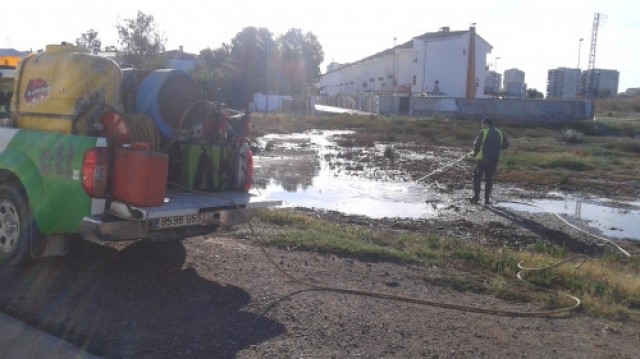 Benicàssim inicia una campaña de concienciación vecinal para prevenir las plagas de mosquitos