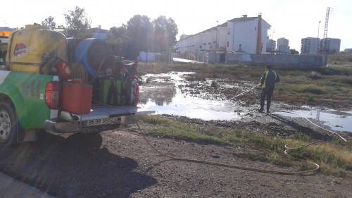 Benicàssim inicia una campaña de concienciación vecinal para prevenir las plagas de mosquitos