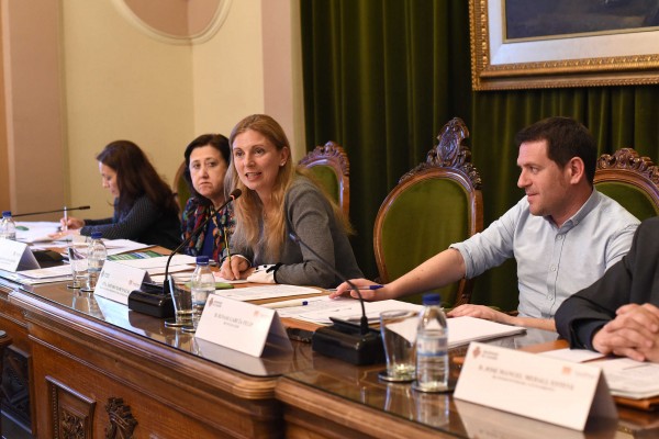 El Consell Social de Castelló valida la evolución de las operaciones de la estrategia Edusi