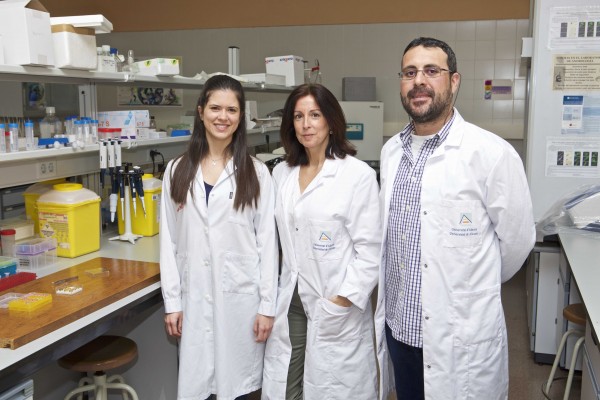Un estudio con peces cebra descubre cómo la competencia sexual afecta a la calidad del esperma