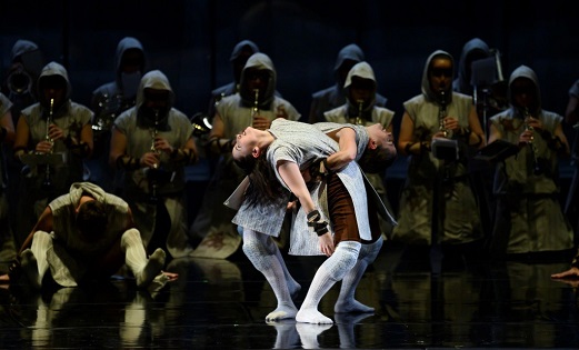 'Animal de séquia': De les arrels a l’imaginari