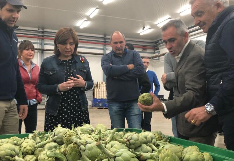 El PP sostiene que las empresas de Castellón ahorrarán 46 millones más con su 'revolución fiscal'