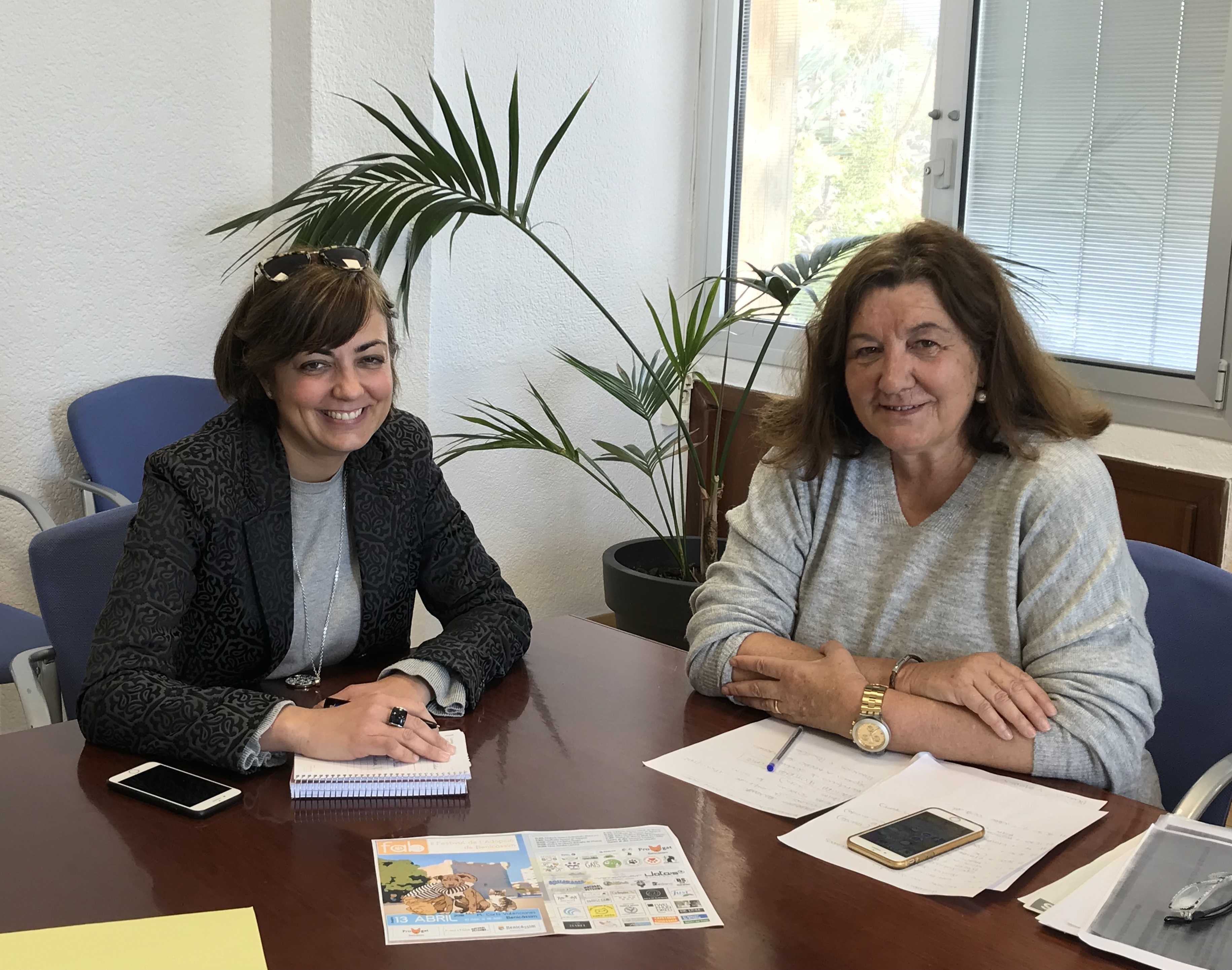 Benicàssim fomenta la adopción de mascotas con su segundo festival el 13 de abril