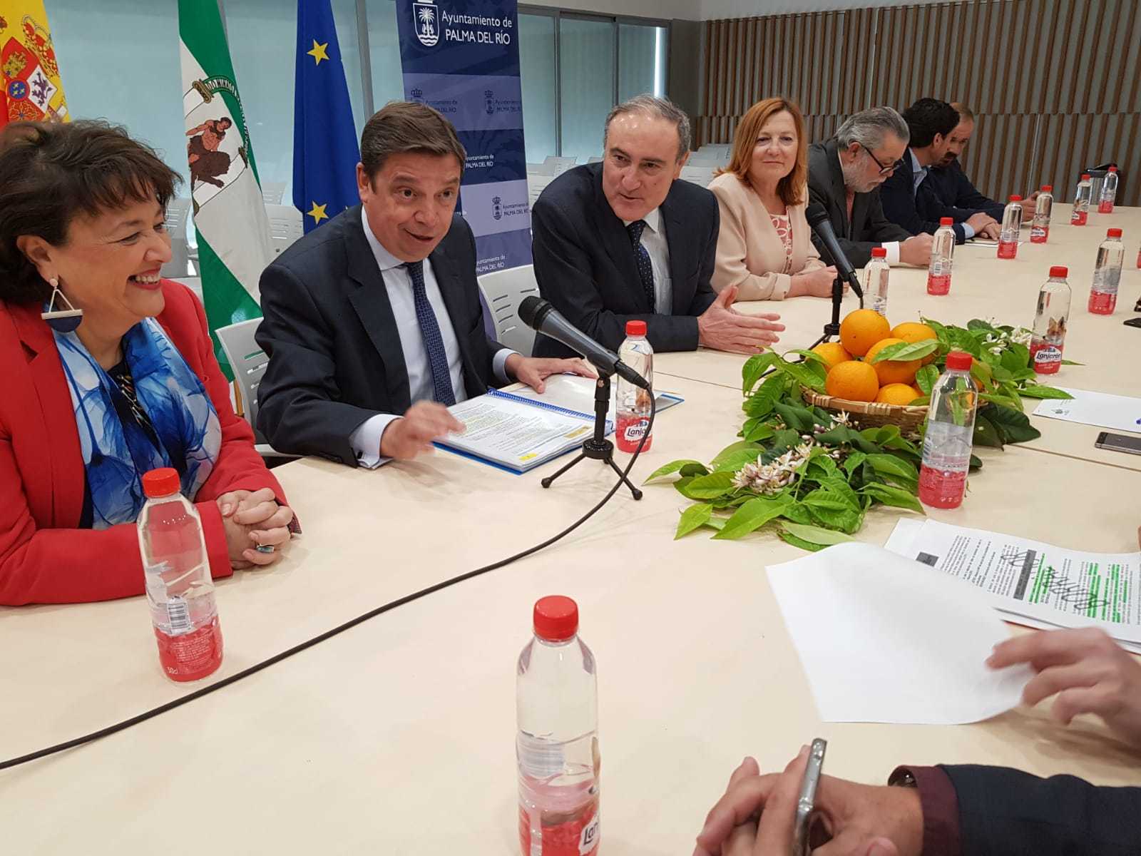 Planas cree que Europa debe pedir la equiparación fitosanitaria para los cítricos que llegan de fuera