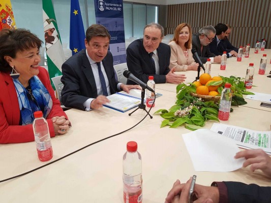 Planas cree que Europa debe pedir la equiparación fitosanitaria para los cítricos que llegan de fuera
