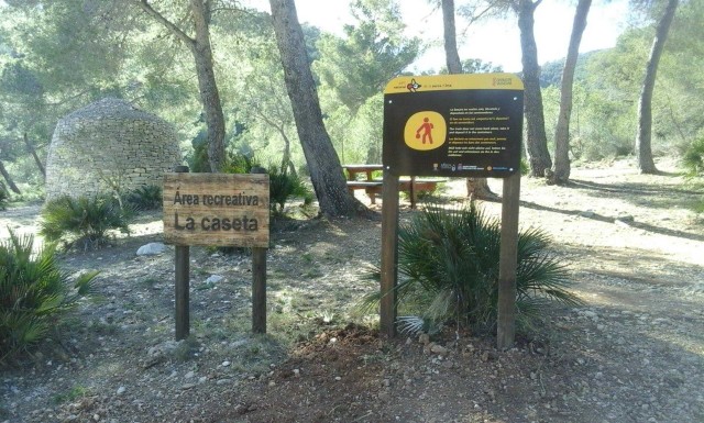 Instalan una plataforma en l'Albufera para fomentar la reproducción del águila pescadora