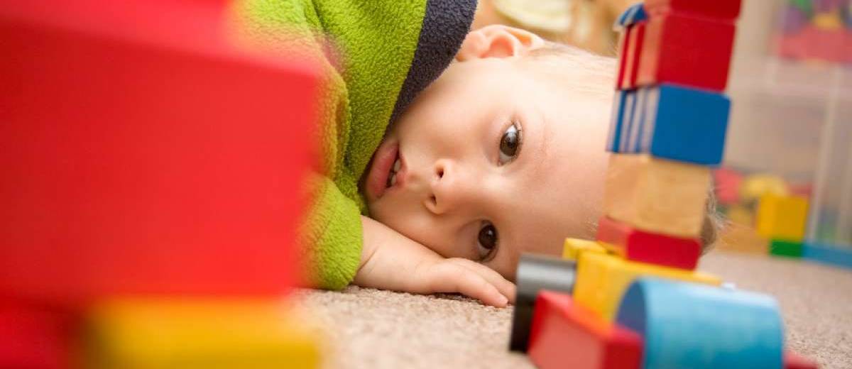 La Vall d'Uixó adapta el libro 'Menelau el xarau fa una festa' para acercarlo a personas autistas 