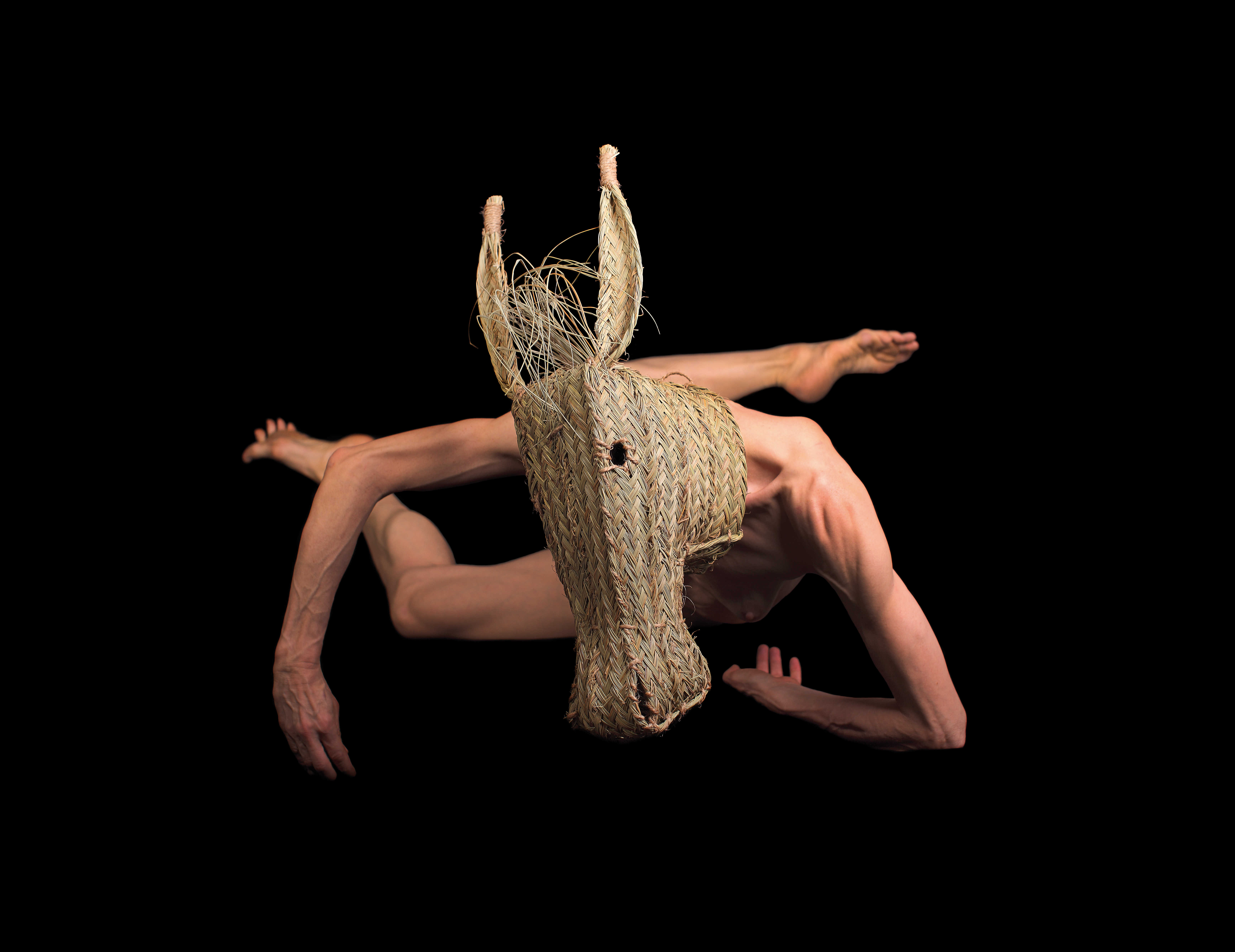 'Animal de Séquia' - 