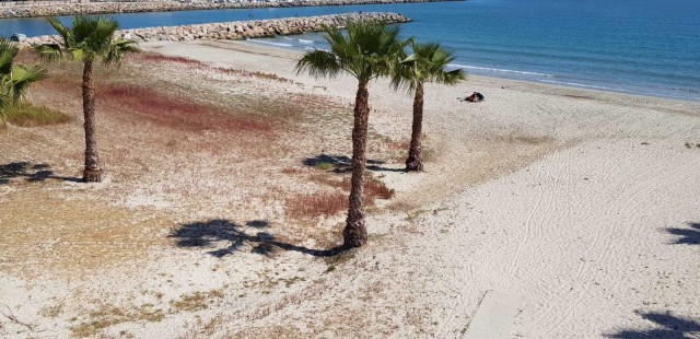 El PSOE denuncia el abandono de la playa de San Gabriel
