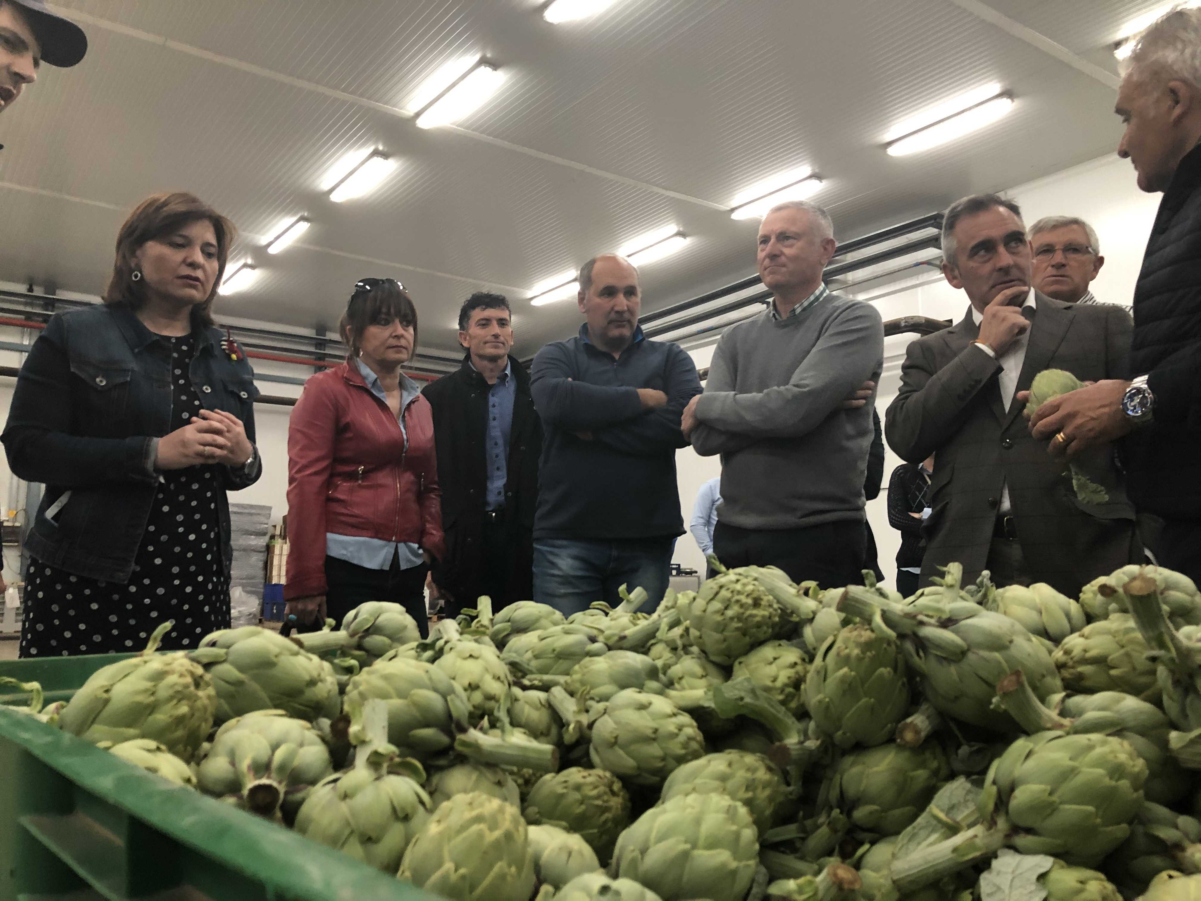 Barrachina (PP) ve en el sector de las hortalizas y la naranja ejemplos de la excelencia de la provincia