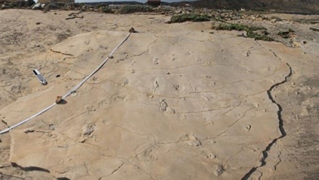 Huellas de 5,7 millones de años desafían la teoría evolutiva humana