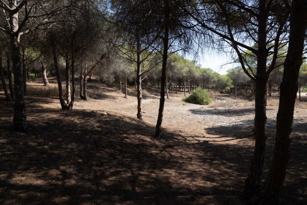 Afectados del Pativel en Elche defienden que el plan supondrá perder 200 millones de euros de inversión