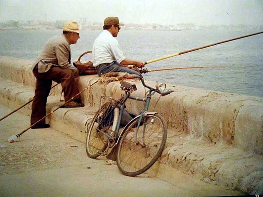 Bruts de brea i sal, en el port de València