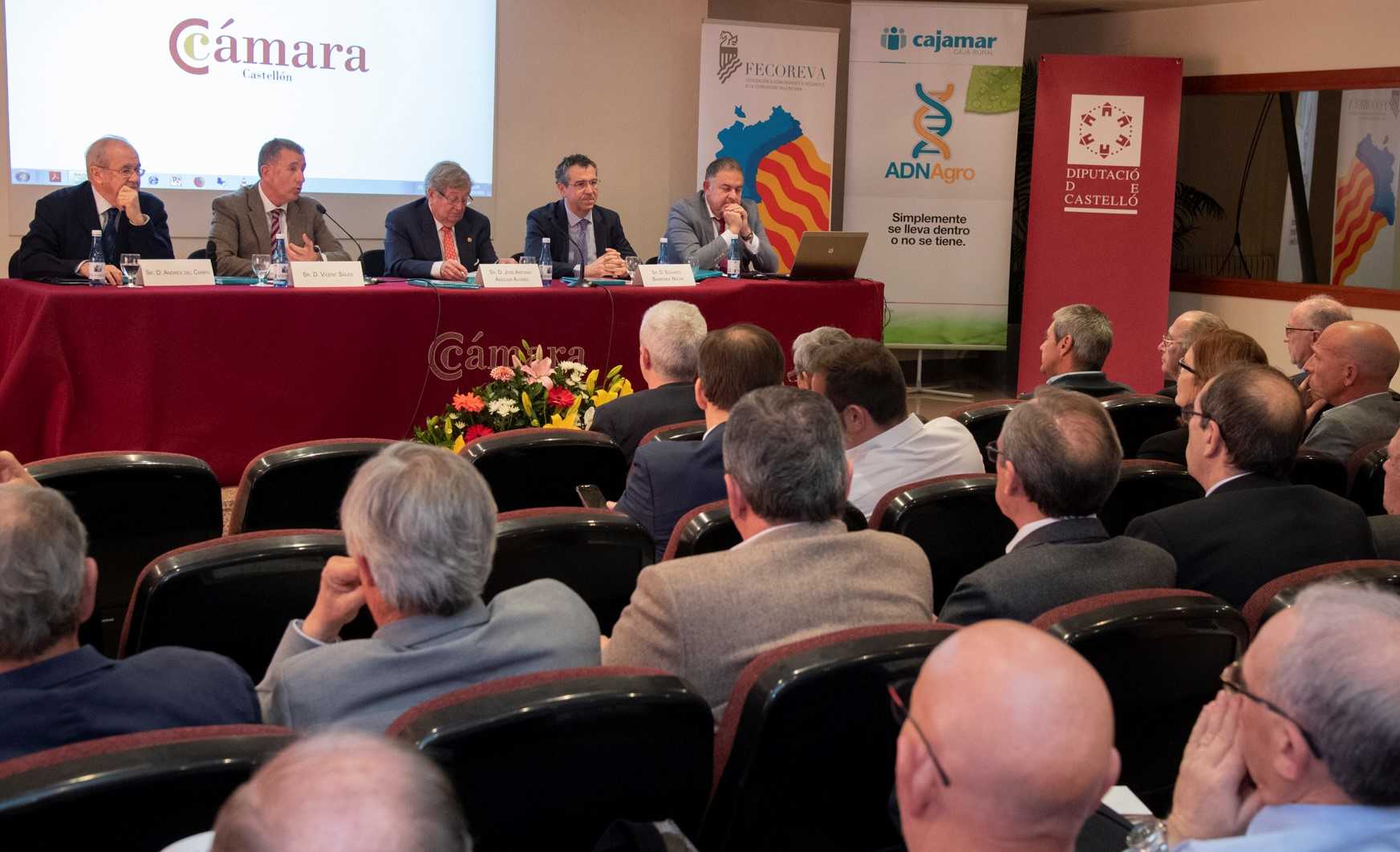 Diputación respalda la eficaz gestión hídrica de los regantes en la conmemoración del Día del Agua