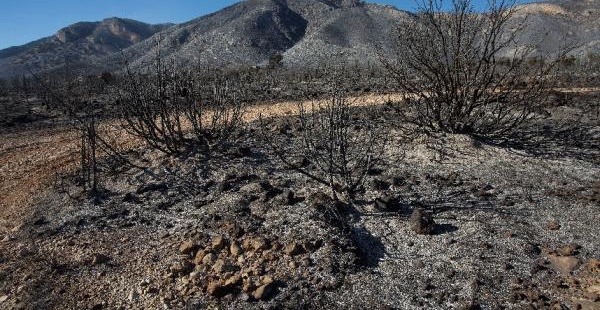Aprobadas las ayudas para paliar los daños de los incendios forestales de Culla, Sagunto y Llutxent