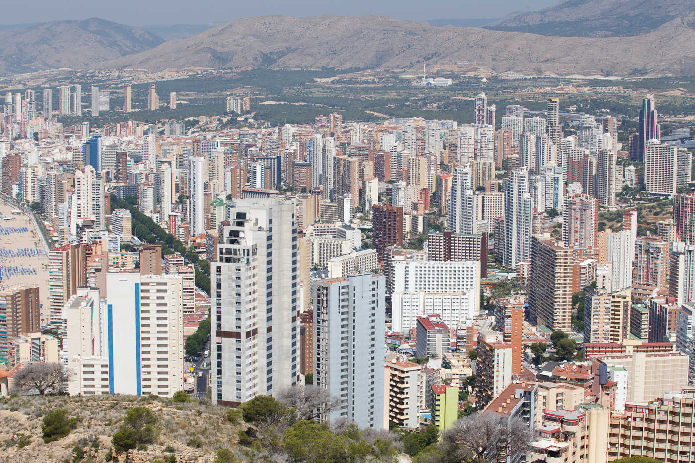 Foto: PEPE OLIVARES. - 