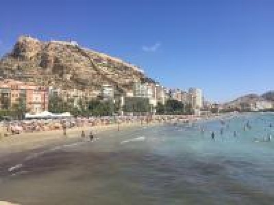 Fuerte apertura alcista en bolsa gracias al despliegue de los 'cazadores de gangas'