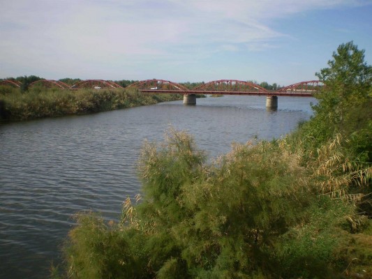 El TS anula el Plan del Tajo por no fijar caudales ecológicos en Aranjuez, Toledo y Talavera