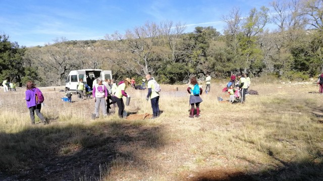 Amics de Palanques culpa al Ayuntamiento de que su 'Parque Nodriza' no arraigue en la capital