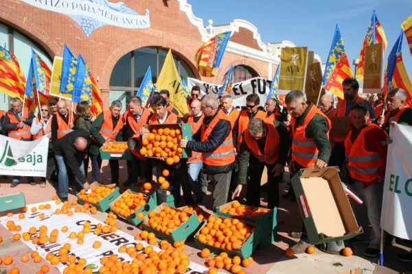 AVA-Asaja afirma que un cuarto de la naranja no se ha recolectado y eleva a 296 millones las pérdidas