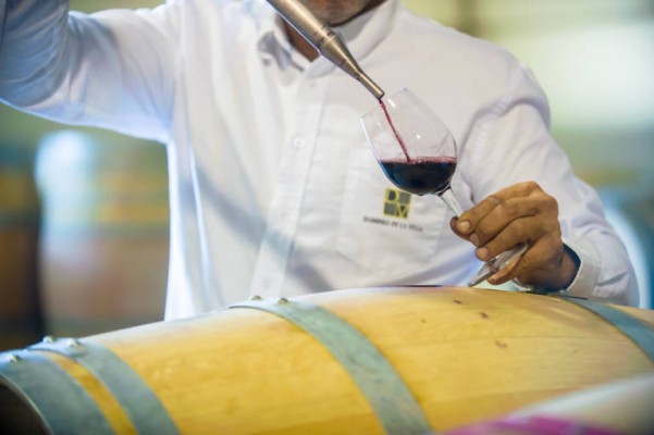 La bodega Dominio de la Vega aumenta un 70% sus ventas en el extranjero