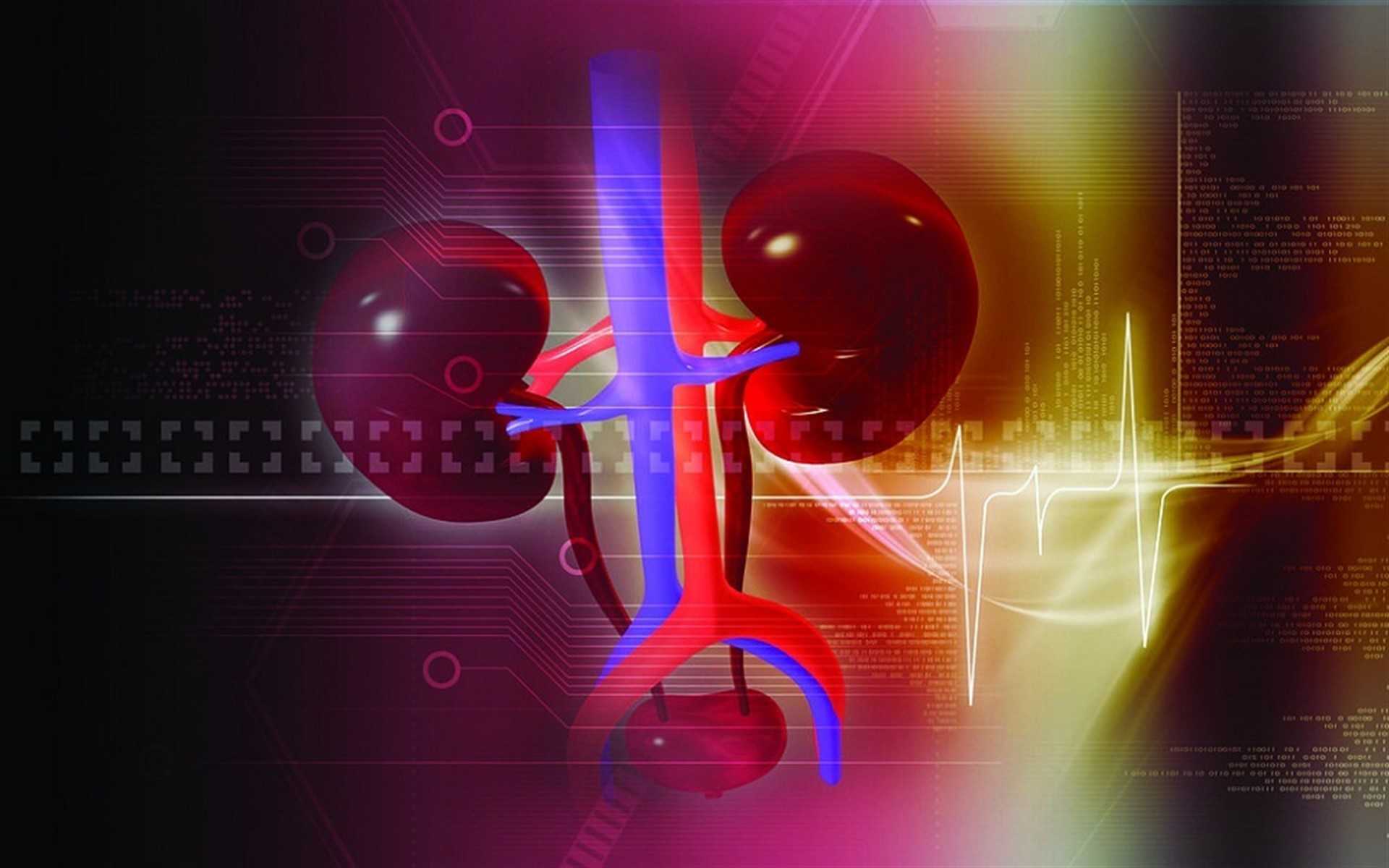 La mortalidad por enfermedad renal crónica crece casi un 30% en España en la última década