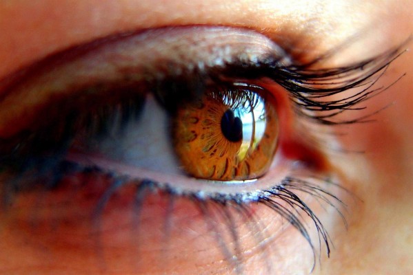 Un millón de españoles padece glaucoma, segunda causa de ceguera a nivel mundial
