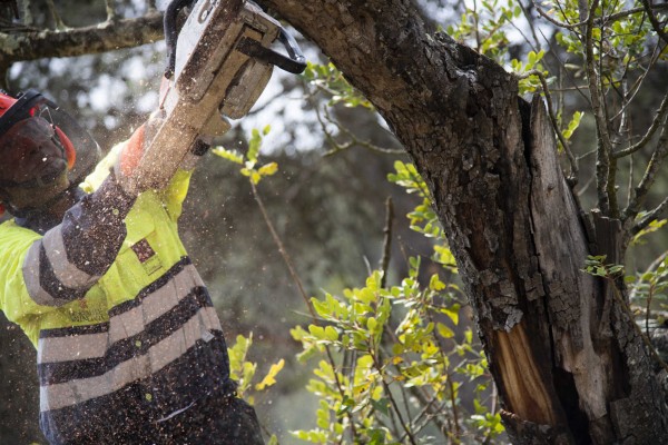 La Diputación refuerza la prevención de incendios en las zonas más sensibles del interior de Castellón