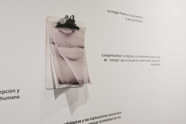 El cuerpo humano como punto central de la fotografía en el festival 'Photoalicante'