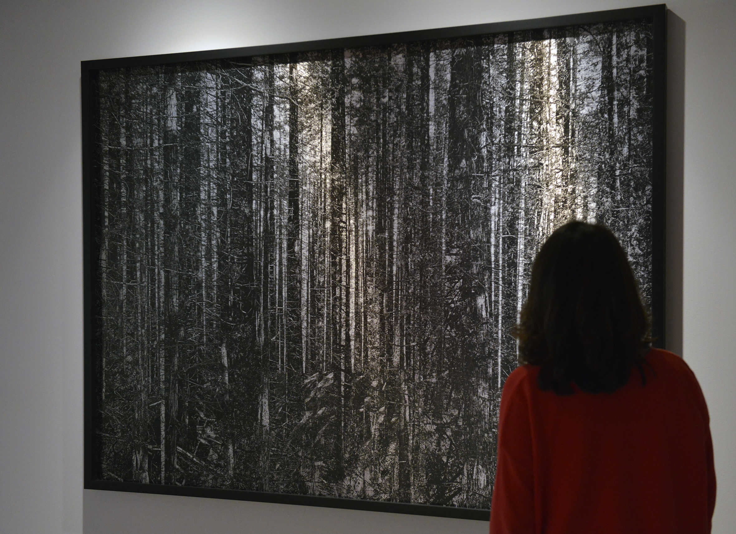 Los paisajes de Francisco Caparrós toman Fundación Bancaja