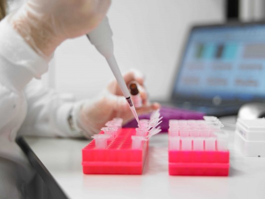 La valenciana Imegen crea un test genético para particulares con tecnología de secuenciación de ADN 