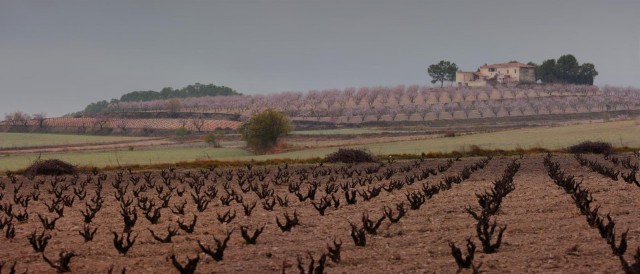 Los negocios rurales se frotan las manos con las facilidades que introduce la nueva ley urbanística