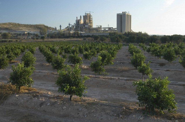 La finca agrícola de Cemex en Alicante renueva por décimo año su certificado de calidad