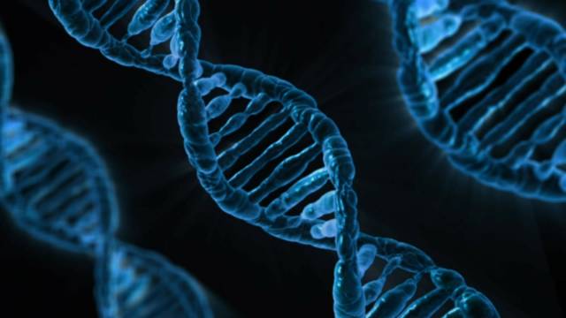El 80% de las personas con el Síndrome de X Frágil no sabe que lo padece