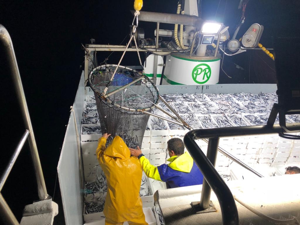 La pesca solo accede a 6 millones de los 51 que llegan de Europa y Madrid para subvenciones