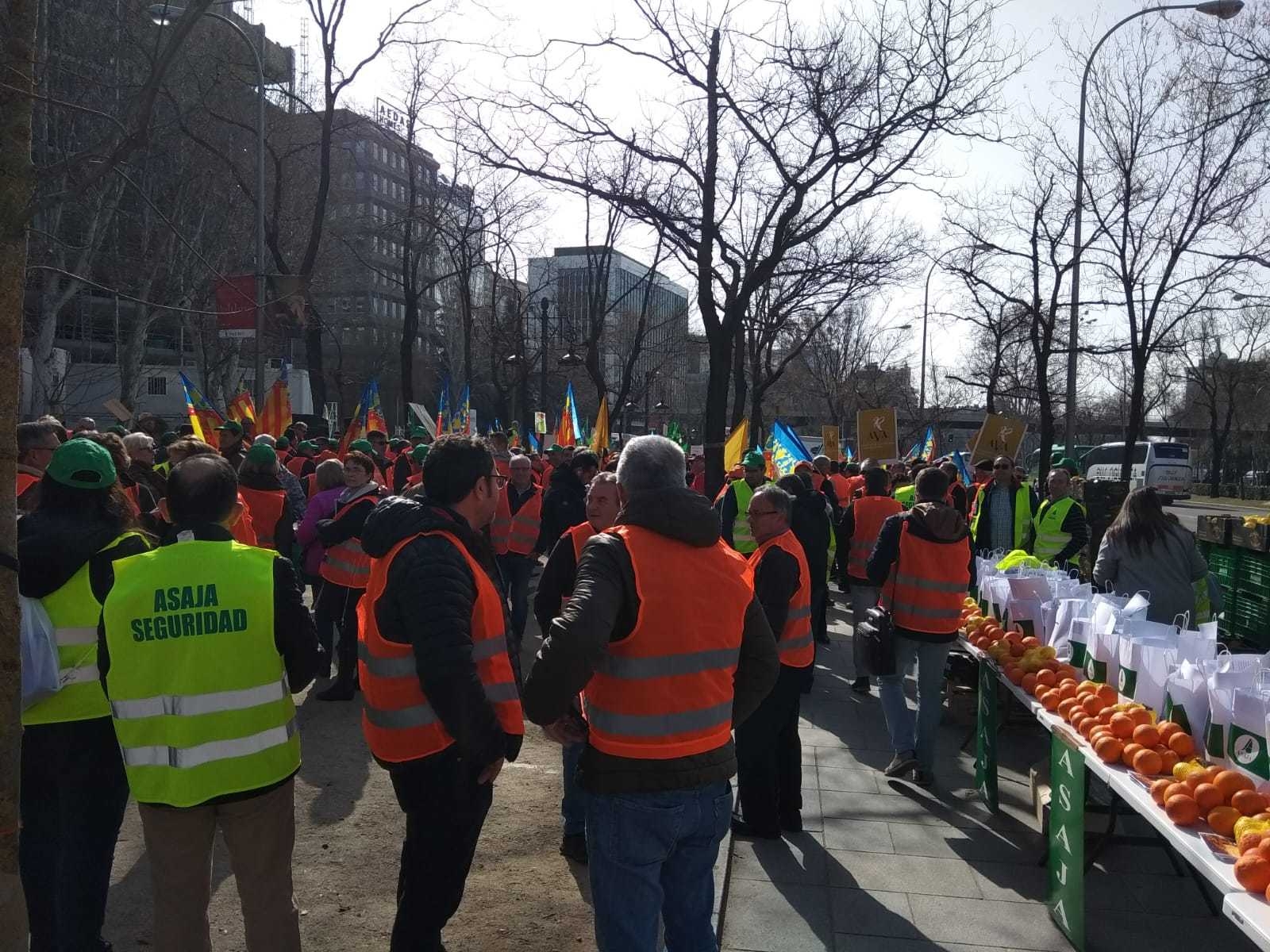 La Conselleria pregunta a los citricultores qué ayudas prefieren y estos protestan ante la UE