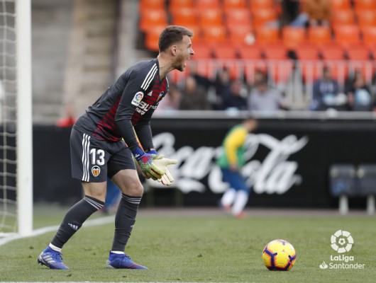 Neto: 