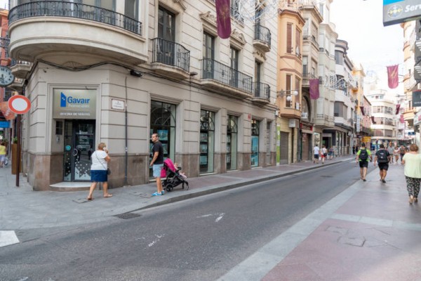 El tripartito de Elche encarga el proyecto de señalización dinámica de aparcamientos