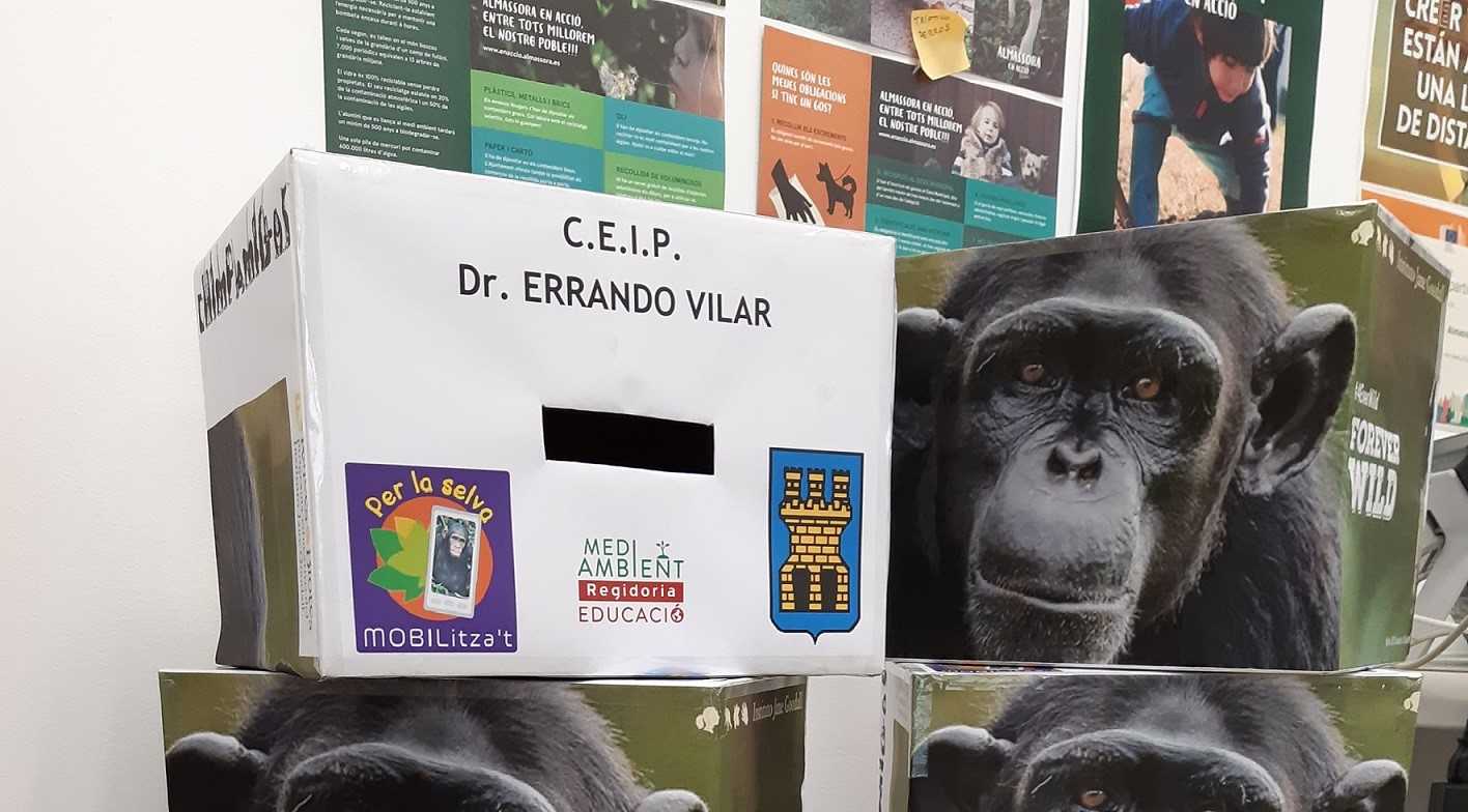 Almassora salva a cinco chimpancés