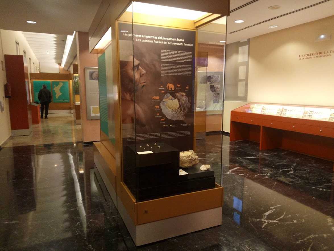 El  Museu de Prehistòria torna a obrir la sala ‘Societats Prehistòriques’   