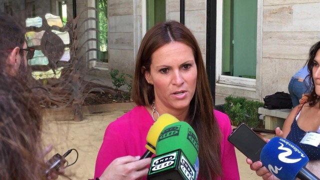 El PP asegura que el Consell 