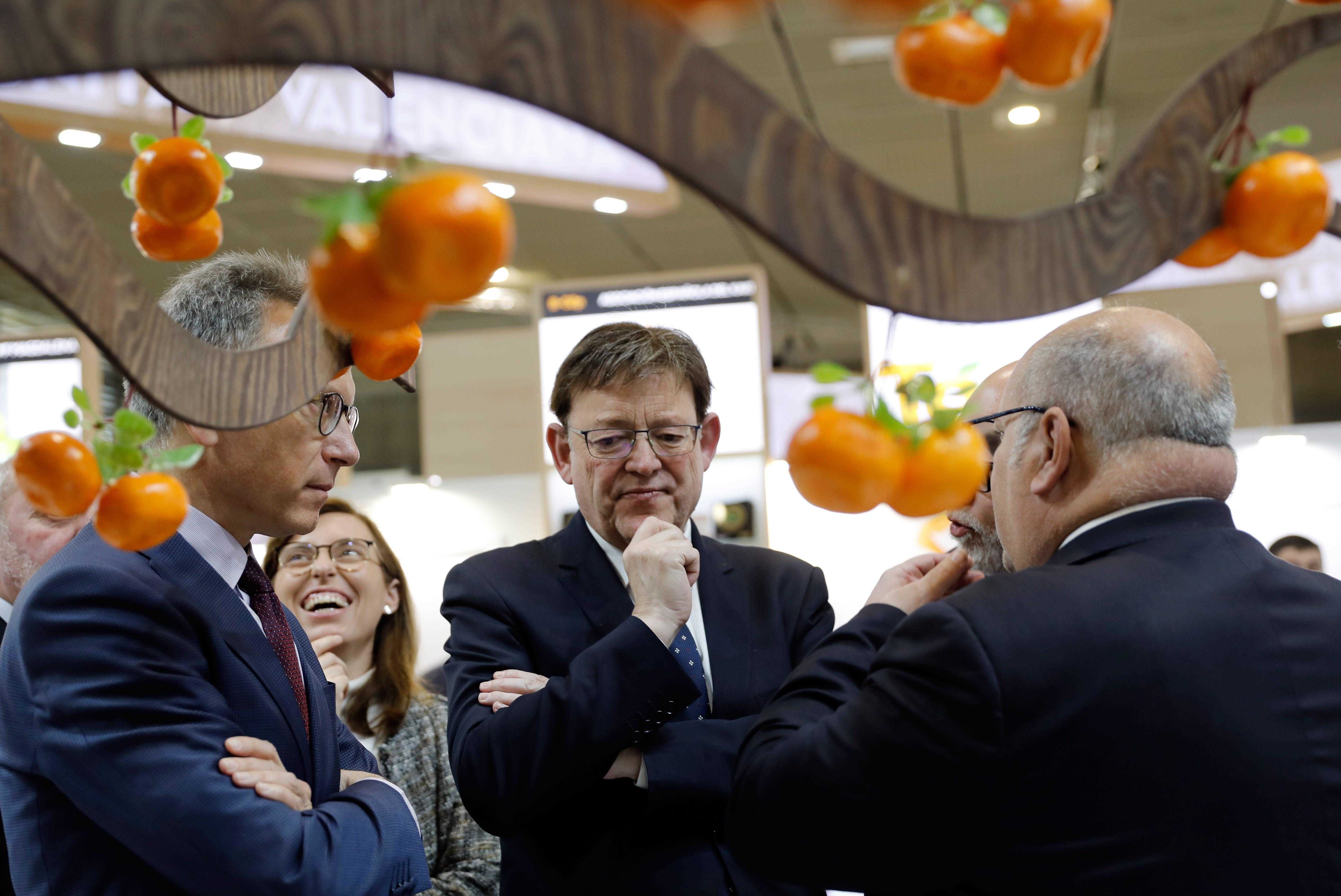 Puig suma a Marruecos, Egipto y Turquía a los países que la UE debe regular la llegada de naranja