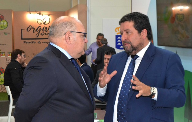 Moliner reclama al Gobierno un 